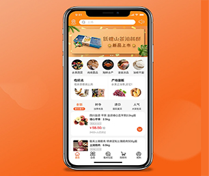 龙岩APP开发社群电商系统专注于个性化，追求极致【打造数字化未来，现在购买更实惠】